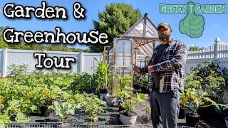 Garden Tour : GreenTGarden June Month Updated | GARDEN & GREENHOUSE |