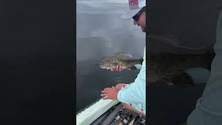 A nice smallmouth caught by Pro Chris Smith 