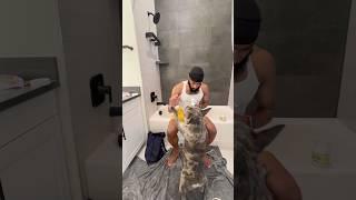 How often do you wash your dog?
