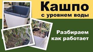 КАШПО\ ГОРШОК С АВТОПОЛИВОМ для цветов С УРОВНЕМ ВОДЫ. Принцип работы. Что стоит учитывать