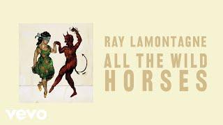 Ray LaMontagne - All the Wild Horses (Official Audio)