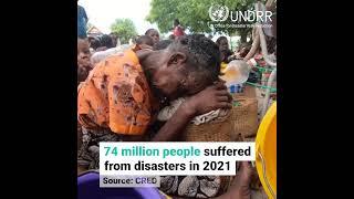 Disaster losses and statistics