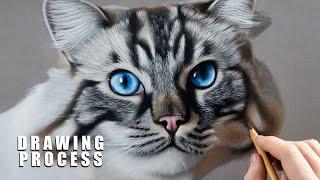 PHOTO-REALISTIC CAT DRAWING | Color Pastel Pencil Animal Art - Time-Lapse