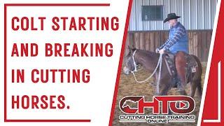 Colt Starting And Breaking In Cutting Horses.