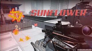 Warface Nice Moments SUNFLOWER #72 PyroCC