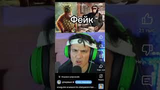 Холи бам vs Анатохич