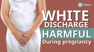 White discharge during EARLY PREGNANCY | Vaginal Discharge | iMumz