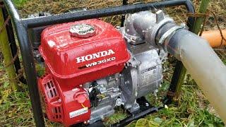 Honda WB30XD new Petrol Water Pump