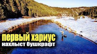 Хариус, нахлыст первый 2021