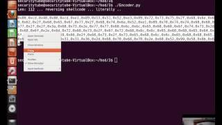 [SecurityTube.net] Hack of the Day Part 3: Writing Shellcode Encoder / Decoder