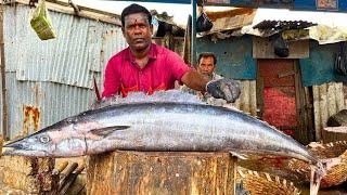 KASIMEDU  SPEED SELVAM | 17 KG BIGG ARA KOLA FISH CUTTING VIDEO | IN KASIMEDU | FF CUTTING 