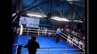 кубок Карпат 2012 free fight