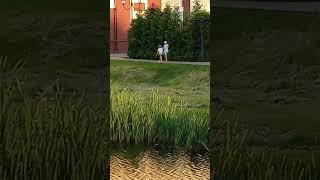 Рыбалка во дворе дома