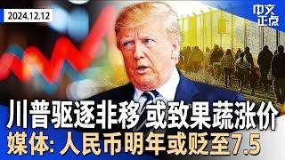 川普坦言物价难降 曝驱逐非移或致果蔬涨价｜路透社称中国明年拟贬值人民币 兑美元或至7.5｜川普邀习近平出席就职典礼｜1500人 拜登宣布破纪录单日赦免｜边境主管将在纽约抓人《中文正点》24.12.12