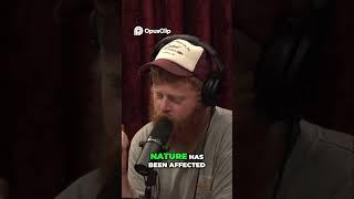 Nature's Healing  Untouched Wisdom for Modern Chaos