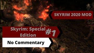 Skyrim - Special Edition.  2020 MOD/Immersive Weapons & Armour & more.  [No Commentary] Part 1