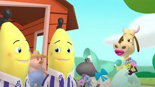 Flowers For Everybody | Bananas In Pyjamas