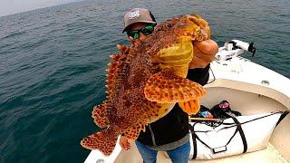 Southern California Ocean Fishing! (Sand Bass Catch, Clean and Cook)