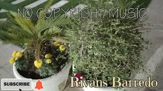 No Copyright Music video #nocopyright #vlogmusic