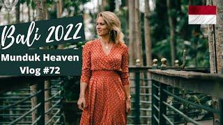 Bali 2022: Munduk Heaven - Vlog #72