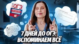 НЕДЕЛЯ до ОГЭ | Как повторить все к ОГЭ по русскому языку?| Как сдать ОГЭ по русскому языку на 5?