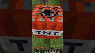 MINECRAFT, BUT TNT SPAWN EVERY 10 SEC... | #shorts |