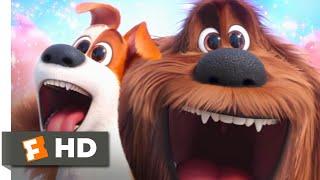 The Secret Life of Pets - Hot Dog Heaven Scene | Fandango Family