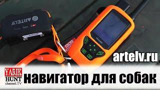 ТЕСТ НА ДАЛЬНОСТЬ GPS ошейником ARTELV TRACKER SOLO