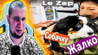 МАНУРИН СМОТРИТ LE ZAP - WATCH THE MANYRIN РЕАКЦИЯ ПРИКОЛЫ #реакция #reaction