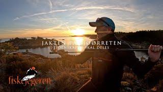 Sjøørretfiske - Jakten På Sjøørreten "Lidenskapen lever" Fiskejegeren Production 4K