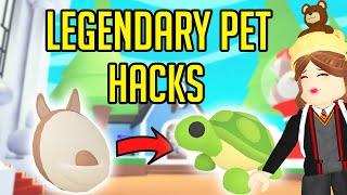 Pet hacks that gives you a *LEGENDARY* pet! Adopt Me Legendary Pet Hacks