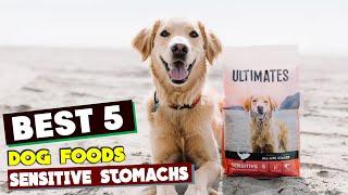 My Dog's Tummy Troubles Solved! Top 10 Sensitive Stomach Dog Foods