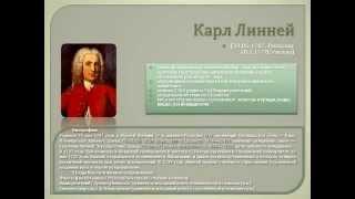 Классификация животных. Основные систематические группы.AVI