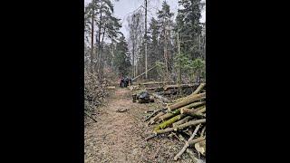 г.Королев Ивантеевский лес. Сегодня - зеленая зона, а завтра - стройплощадка.