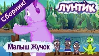 Лунтик  Малыш Жучок  Сборник мультфильмов