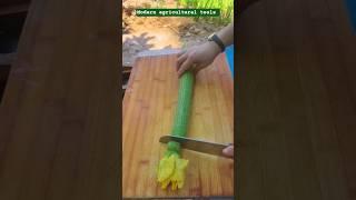 3-in-1 Veggie ASMR Feast  | So Satisfying! #shorts #viral"