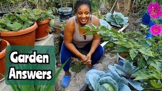 Garden Answers || Why I Never Plant In-Ground || Pest Control and More