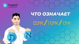 Что означает אינו - אינה - אינם | Тимур Мильгром