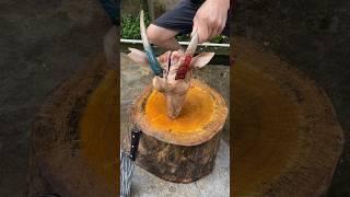 Goat Head  Cutting Skills By Professional Cutter || Best Cutting Skills #matan