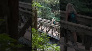 Woods & Water! One of the BEST Hikes in Ellijay, GA!
