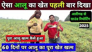 60 दिनों में आलू खत्म हो गया  ऐसा खेत मुझे 2025 में पहली बार दिखा || aalu ki kheti | real farmer