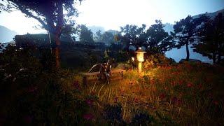 Black Desert: открытия сундуков и получение  доспехов бога