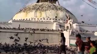 Sights and sounds of Boudhanath, Katmandu, Nepal