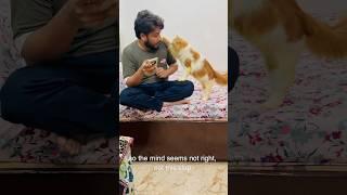 billu bahut #catcomedy #cat #catvideo #viralcat