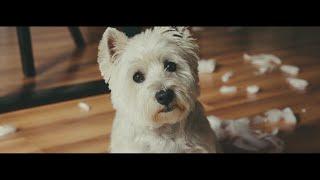 SEND BAG Clip -Dog- by WEBER Verpackungen