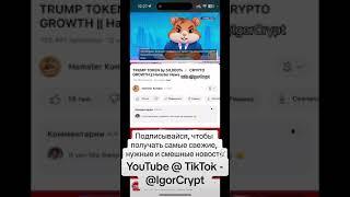 TRUMP TOKEN by 50,000% CRYPTO GROWTH || Hamster News, with@IgorCrypt