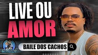 BAILE DOS CACHOS | LIVE OU AMOR 2024 | PAREDAO OUTUBRO