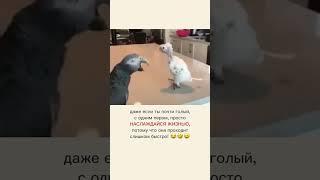 Даже если ты почти голый - наслаждайся жизнью!