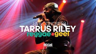 Tarrus Riley ft Dean Fraser & Black Soil Band Live @ReggaeGeel Festival 2023