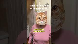 39.8 #mem #memes #ржака #shorts